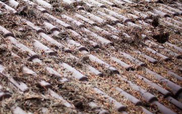 Guestwick Green roof cleaning companies