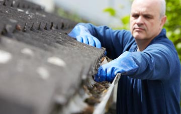 cleaning and inspecting Guestwick Green roofs